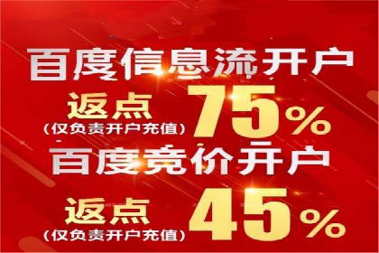 百度推广公司：成功案例解析